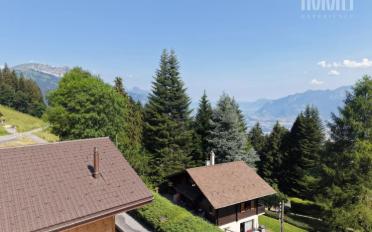 Chalet 5 Zimmer - image - 4