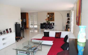 Attic flat 6 rooms - image - 2