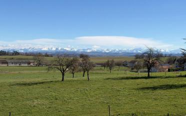 Maison contiguë 4.5 pièces - image - 12