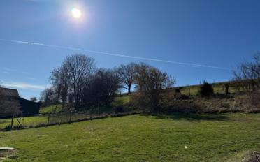 Maison contiguë 4.5 pièces - image - 13