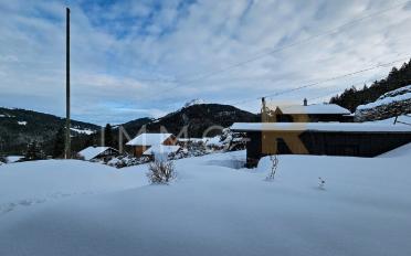 Chalet 4 rooms - image - 4