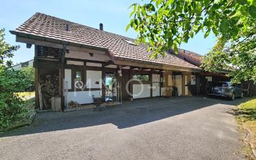 Maison jumelée 5.5 pièces - image - 2