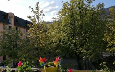 Apartment - image - 1