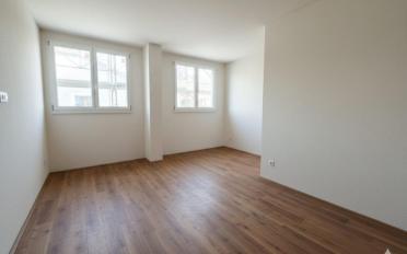 Appartement 5.5 pièces - image - 4