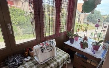 Reihenfamilienhaus 5.5 Zimmer - image - 5