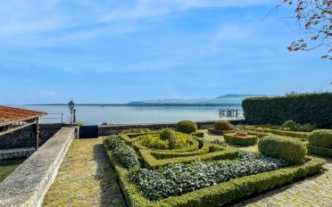 Single house 18 rooms - image - 4