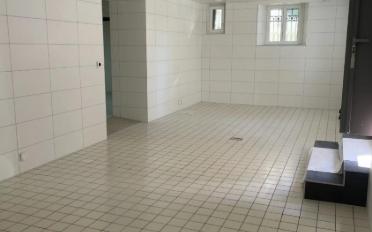 Commerce 5 pièces - image - 4