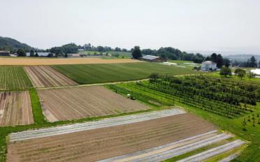 Mixed use property - image - 6