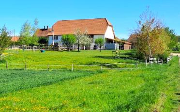 Bauernhaus 4.5 Zimmer - image - 1