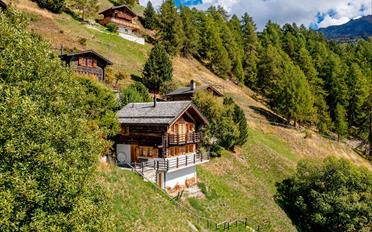 Chalet 4.5 Zimmer - image - 1
