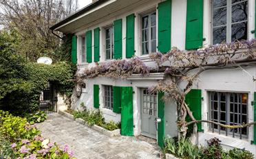 Single house 12 rooms - image - 3