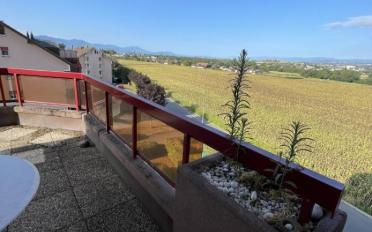 Appartement - image - 2
