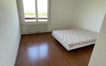 Appartement - image - 7