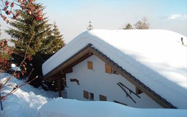 Chalet 7 rooms - image - 2