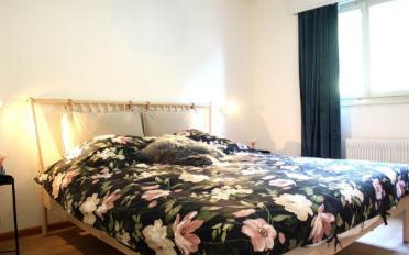 Wohnung 3 Zimmer - image - 7