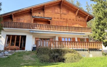 Chalet 6 Zimmer - image - 1
