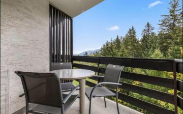 Studio 1 room - image - 9