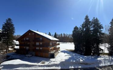 Wohnung 2 Zimmer - image - 10
