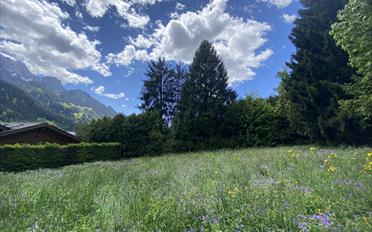 Building land - image - 4