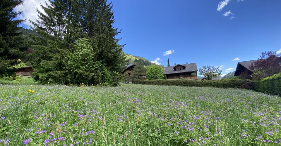 Rougemont
