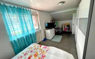 Single house 6 rooms - image - 12