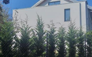 Villa 11 Zimmer - image - 7