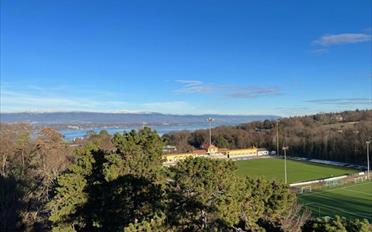 Wohnung 4 Zimmer - image - 1