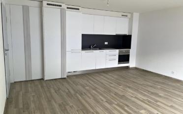 Wohnung ein Zimmer - image - 4