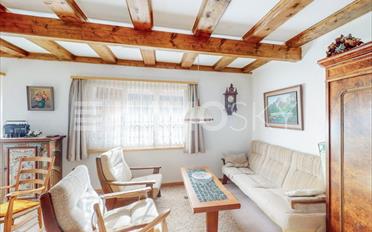 Einfamilienhaus 4.5 Zimmer - image - 1