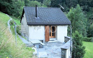 Single house 3 rooms - image - 1