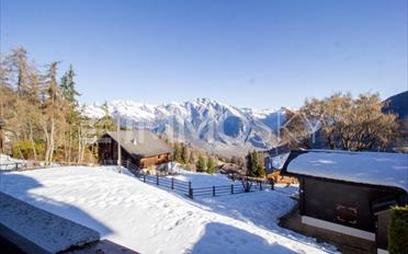 Appartement 2 pièces - image - 1