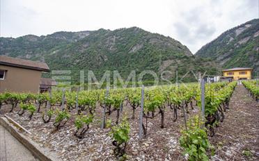 Terrain à bâtir - image - 1