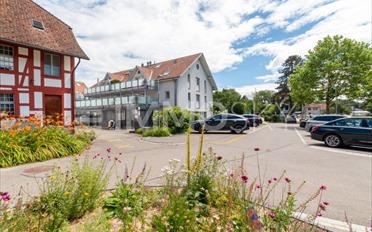 Office 5.5 rooms - image - 1