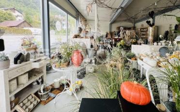 Immeuble mixte 9.5 pièces - image - 5