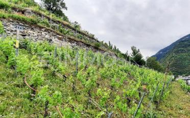 Terrain à bâtir - image - 3