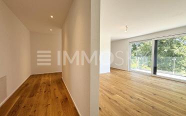 Einfamilienhaus 5.5 Zimmer - image - 4