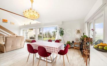 Villa 6.5 Zimmer - image - 1