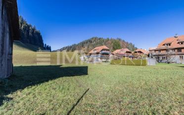 Apartment 2.5 rooms - image - 2