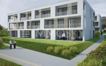 Wohnung 2.5 Zimmer - image - 4