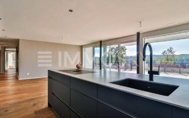 Einfamilienhaus 5.5 Zimmer - image - 3