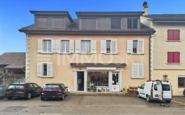 Mixed use property 14 rooms - image - 1