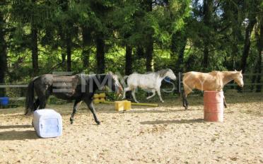 Maison 9 pièces - image - 2