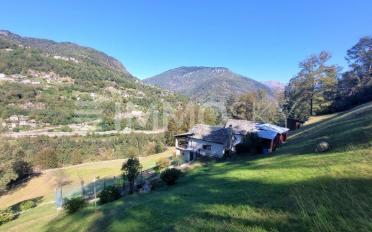 Einfamilienhaus 3.5 Zimmer - image - 3