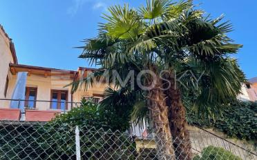 Residential building 10 rooms - image - 4