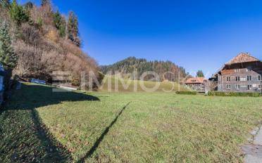 Maison 2.5 pièces - image - 3