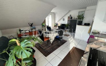 Dernier étage 2.5 pièces - image - 3