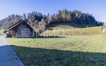 Einfamilienhaus 2.5 Zimmer - image - 5