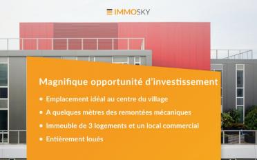 Immeuble mixte 12 pièces - image - 1