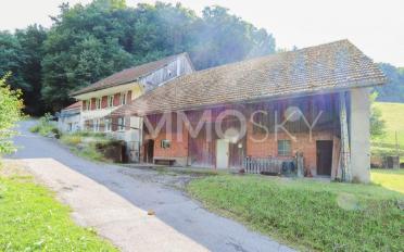 Bauernhaus 9 Zimmer - image - 1