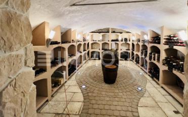 Mixed use property 9.5 rooms - image - 3